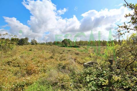 Terreno com área total de 4640 m² no Cartaxo