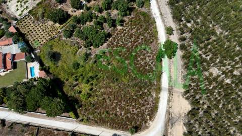 Terreno com área total de 4640 m² no Cartaxo
