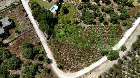 Terreno com área total de 4640 m² no Cartaxo