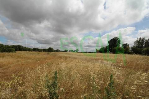 Terreno em Benavente para fins industriais ou agrícolas