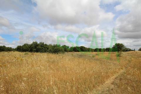 Terreno em Benavente para fins industriais ou agrícolas