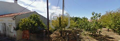Terreno Para Construção  Venda em Oliveira do Bairro,Oliveira do Bairro