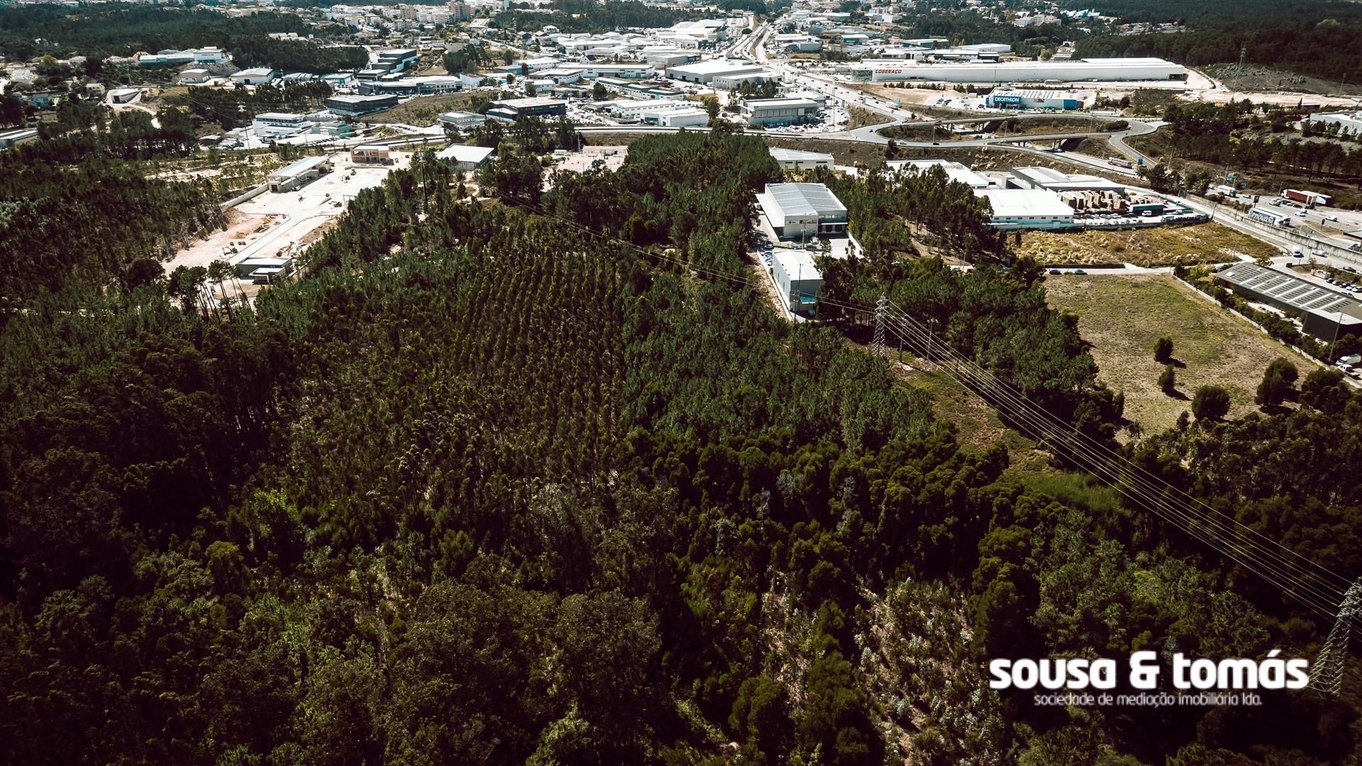 Terreno Para Construção  Venda em Santa Eufémia e Boa Vista,Leiria
