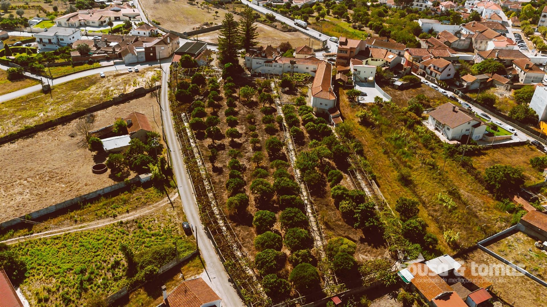 Moradia >=T10 Venda em Guia, Ilha e Mata Mourisca,Pombal