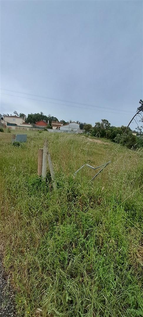 Terreno Para Construção  Venda em Amor,Leiria