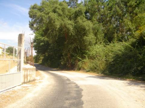 Lote para construção de moradia com 8000m²