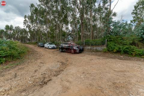 Terreno rústico com 8.000m2 em Lever