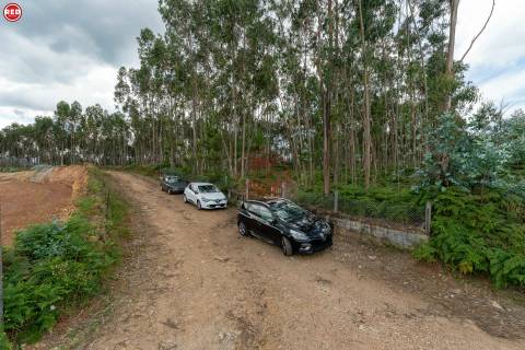 Terreno-Quinta com 8.000m2 em Lever