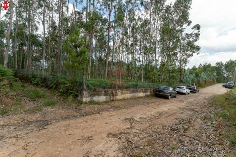Terreno-Quinta com 8.000m2 em Lever