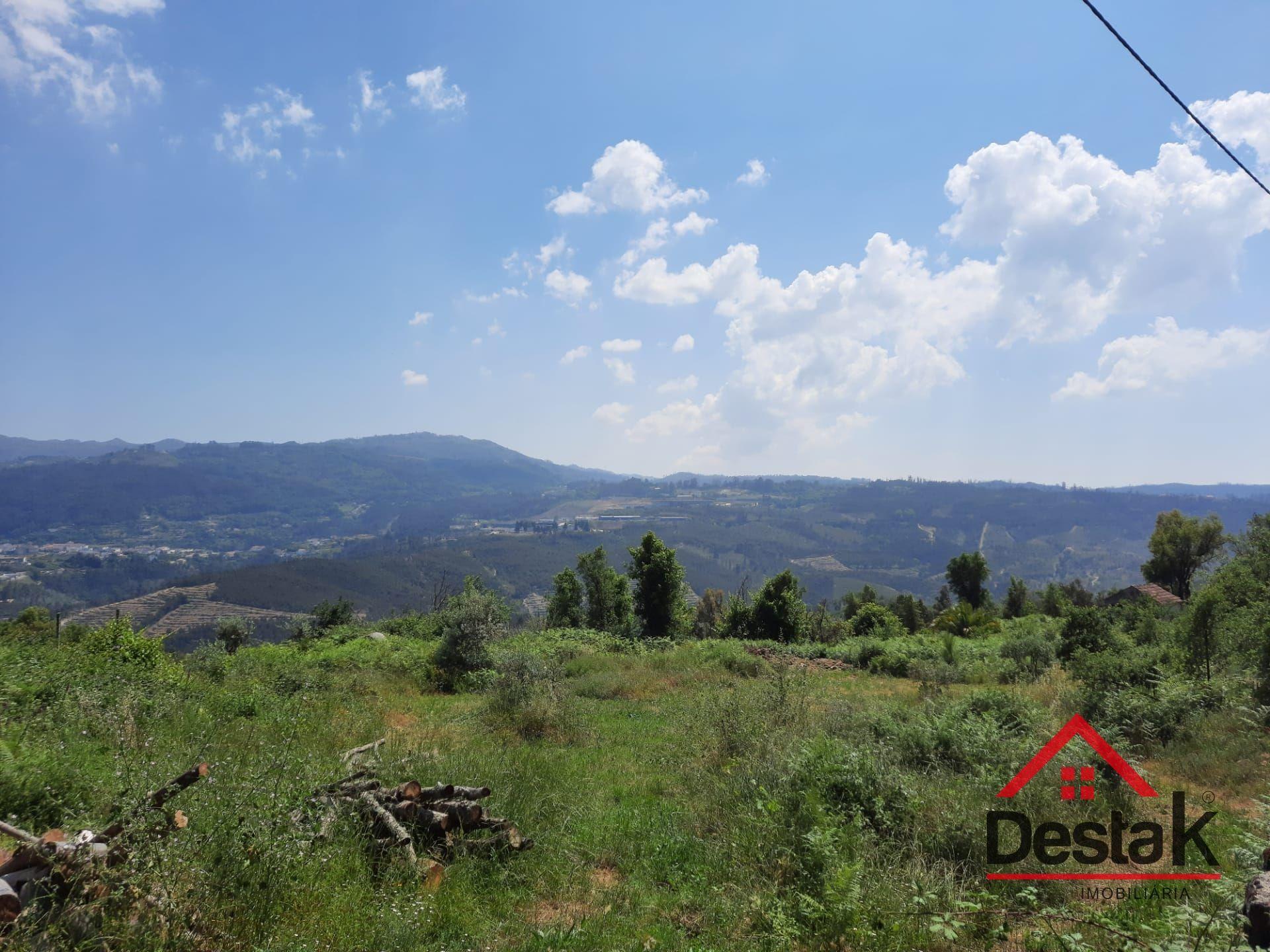 Terreno com aproximadamente 1 hectare, localizado em Serrazes.