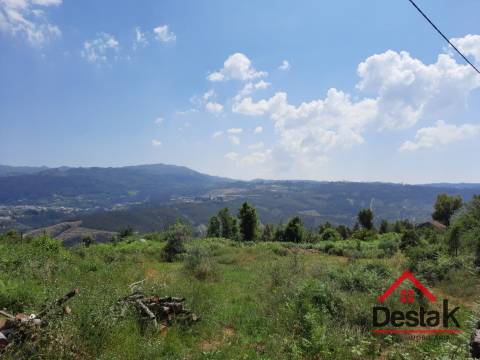 Terreno com aproximadamente 1 hectare, localizado em Serrazes.