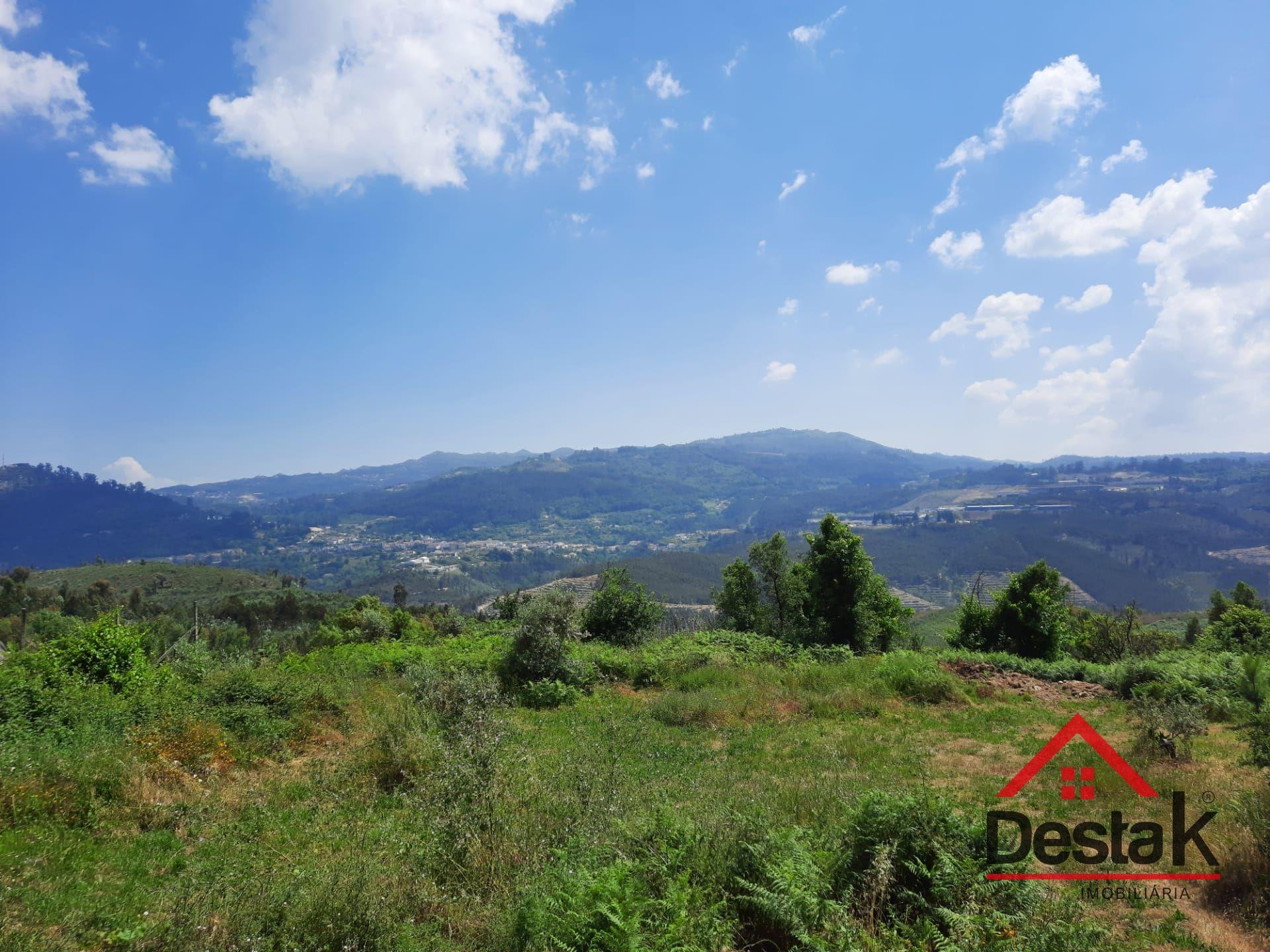Terreno com aproximadamente 1 hectare, localizado em Serrazes.