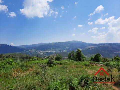 Terreno com aproximadamente 1 hectare, localizado em Serrazes.