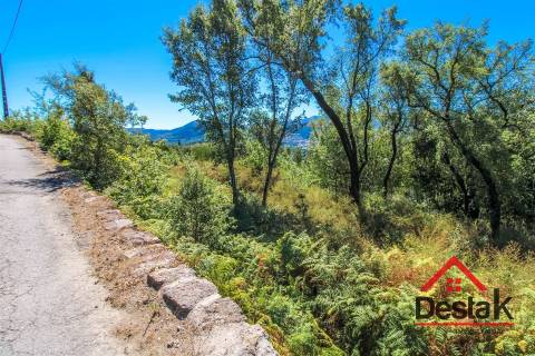 Terreno com aproximadamente 1 hectare, localizado em Serrazes.