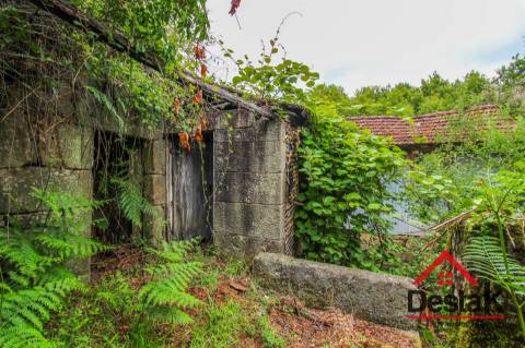 Quinta para venda em Carvalhais, São Pedro do Sul