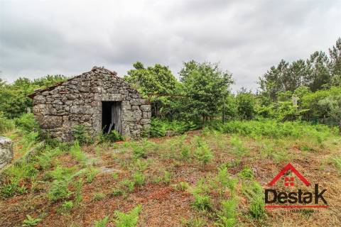 Quinta para venda em Carvalhais, São Pedro do Sul