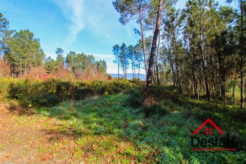 Terreno para venda em São Pedro do Sul