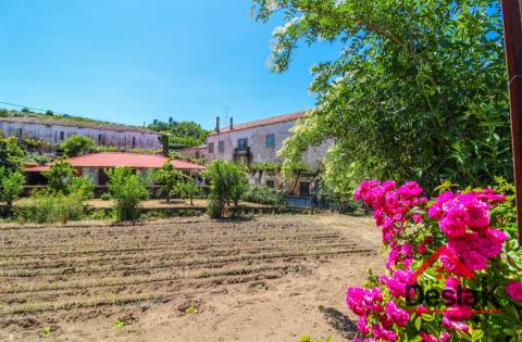 Quinta Histórica para venda em Tarouca