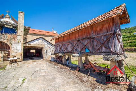 Quinta Histórica para venda em Tarouca