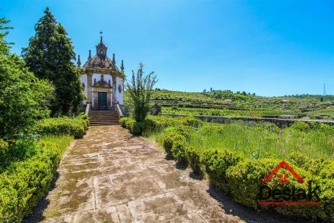 Quinta Histórica para venda em Tarouca