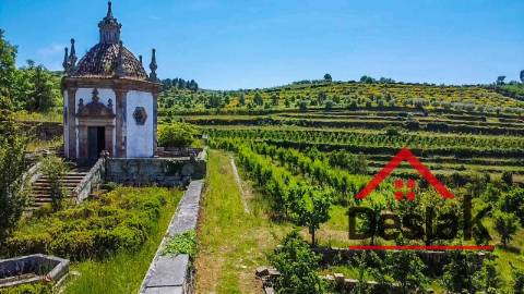 Quinta Histórica para venda em Tarouca