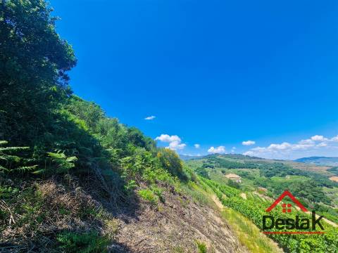 Terreno com vistas para o Rio Douro em Barqueiros