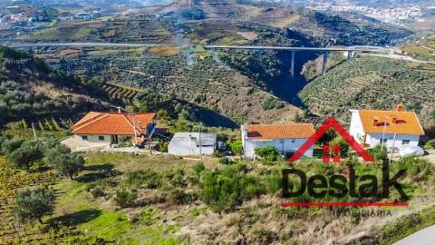 Terreno com vinha para venda no Douro