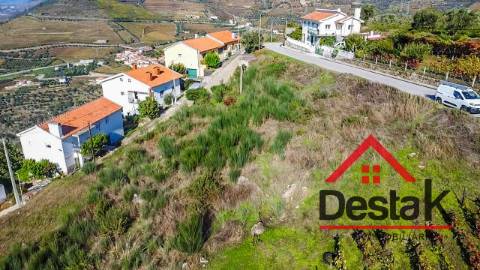 Terreno com vinha para venda no Douro