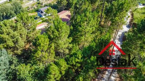 Terreno com viabilidade de construção para venda em Castro Daire