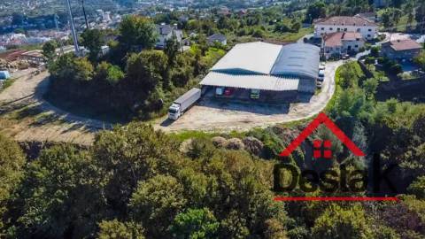 Terreno pinhal com mais de 19.000m²