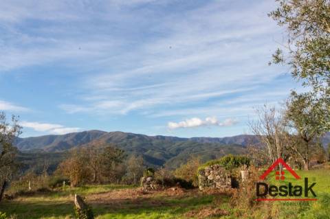 Moradia Isolada com terreno para venda em São Pedro do Sul.