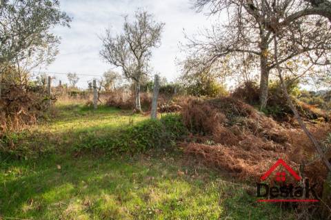 Moradia Isolada com terreno para venda em São Pedro do Sul.