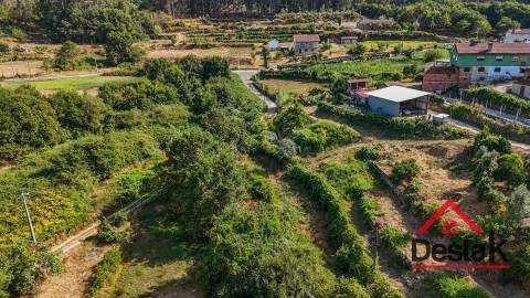 Moradia V3 Quinta com 2 Hectares – Arcozelo das Maias, Oliveira de Frades
