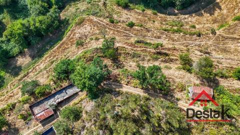 Moradia V3 Quinta com 2 Hectares – Arcozelo das Maias, Oliveira de Frades