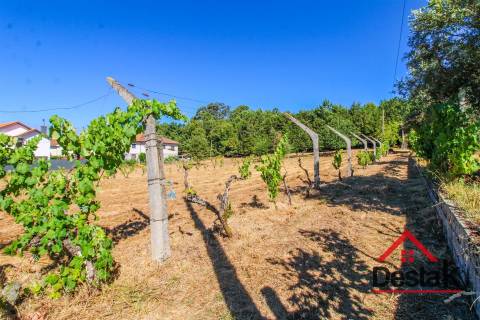 Fantástica quinta em Santa Cruz da Trapa, São Pedro do Sul, em zona 100% urbanizável