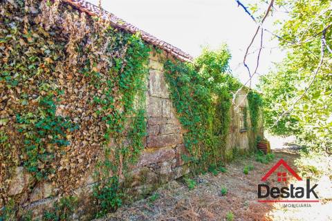 Fantástica quinta em Santa Cruz da Trapa, São Pedro do Sul, em zona 100% urbanizável