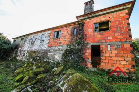 Fantástica quintinha no Ladário, Oliveira de Frades!