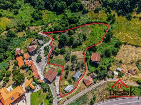 Quinta com ruina em pedra e anexos em Real das Donas, Vouzela