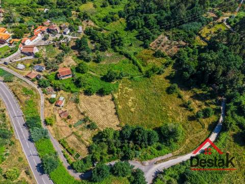Quinta com ruina em pedra e anexos em Real das Donas, Vouzela