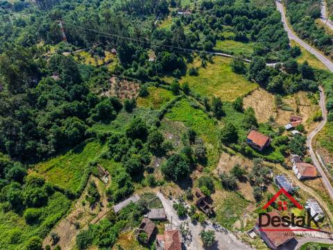 Quinta com ruina em pedra e anexos em Real das Donas, Vouzela