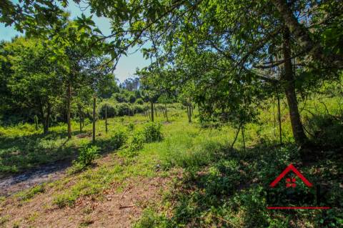 Quinta com ruina em pedra e anexos em Real das Donas, Vouzela