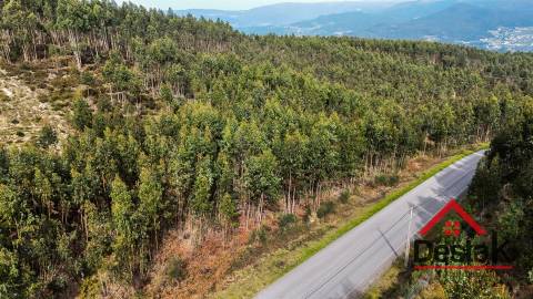 Terreno para venda em Oliveira de Frades