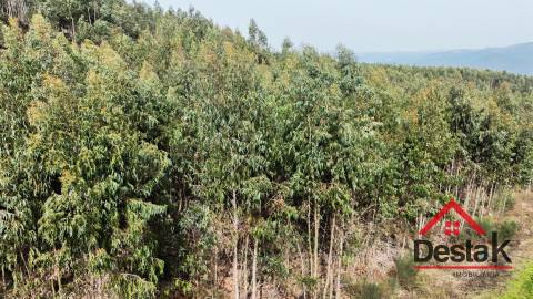 Terreno para venda em Oliveira de Frades