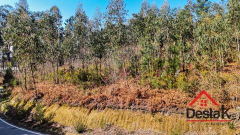 Terreno para venda em São Pedro do Sul