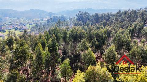 Terreno para venda em São Pedro do Sul