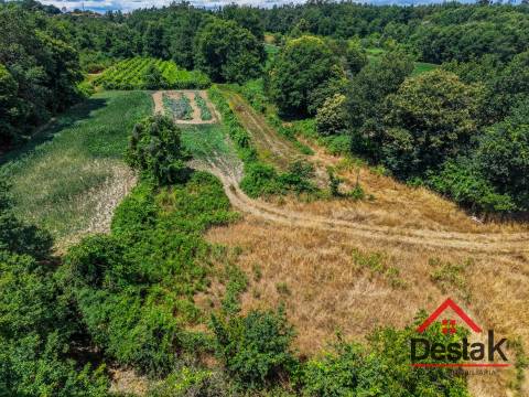 Terreno para construção em São Vicente de Lafões