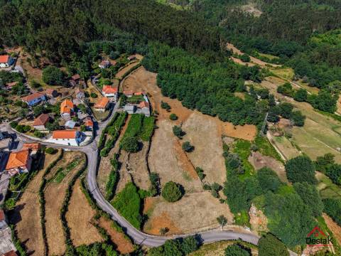 Quinta para venda em Pedro do Sul, com viabilidade de construção