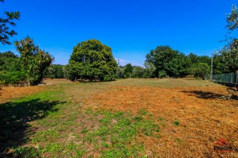 Quinta para venda em Pedro do Sul, com viabilidade de construção