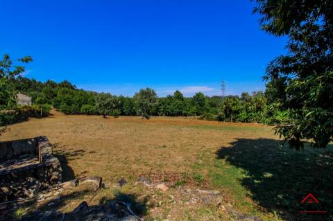 Quinta para venda em Pedro do Sul, com viabilidade de construção