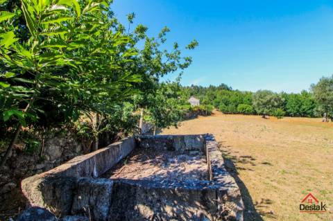 Quinta para venda em Pedro do Sul, com viabilidade de construção